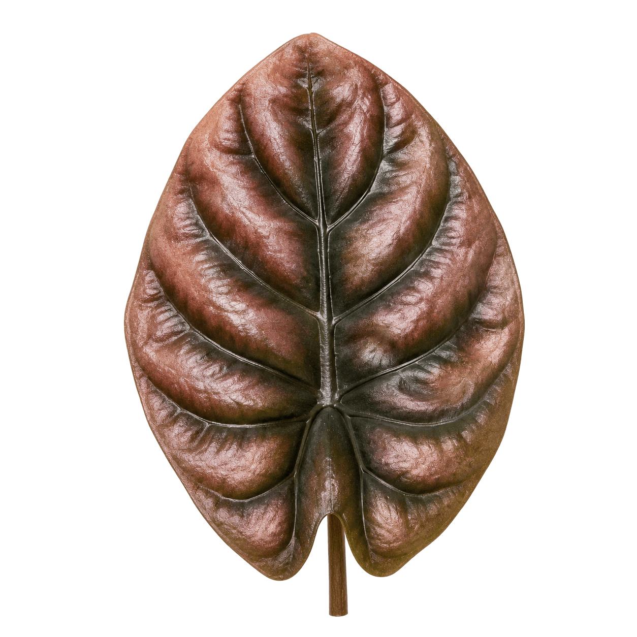 Alocasia Cuprea Red Secret